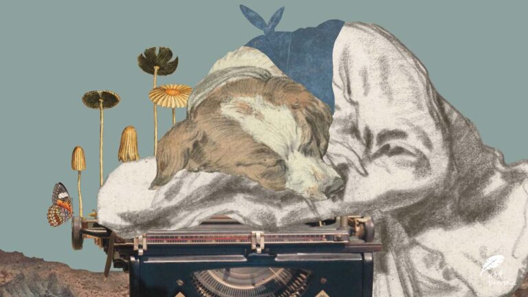 Kolaż w błękitno-szarej tonacji. Śpiący pies na w ubraniu, oparty na przednich łapach, na maszynie do pisania. Z lewej strony na maszynie wyrastają grzyby i siedzi motylek.