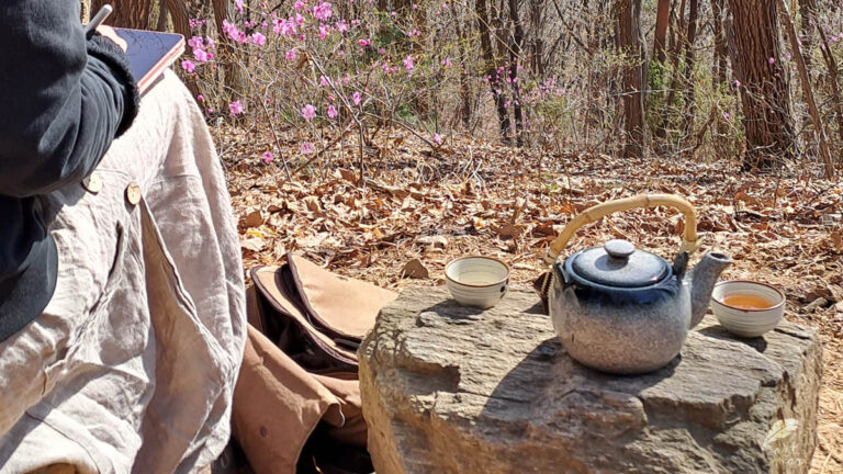 Ktoś siedzi na kamieniu w lesie (nie widać dokładnie postaci), obok na drugim kamieniu szary dzbanek z herbatą i dwie czarki; na ziemi jeszcze uschłe liście - pozostałość jesieni, ale w oddali już rozkwitają filetowe, wiosenne kwiaty